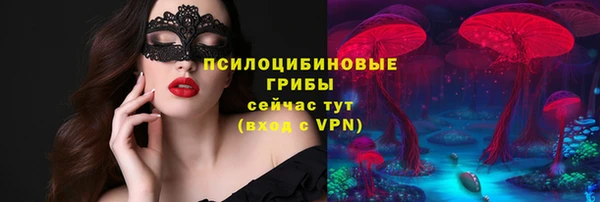 индика Алексеевка