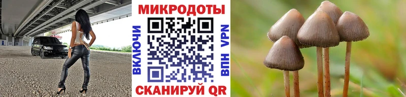 как найти   Лермонтов  Галлюциногенные грибы мухоморы 